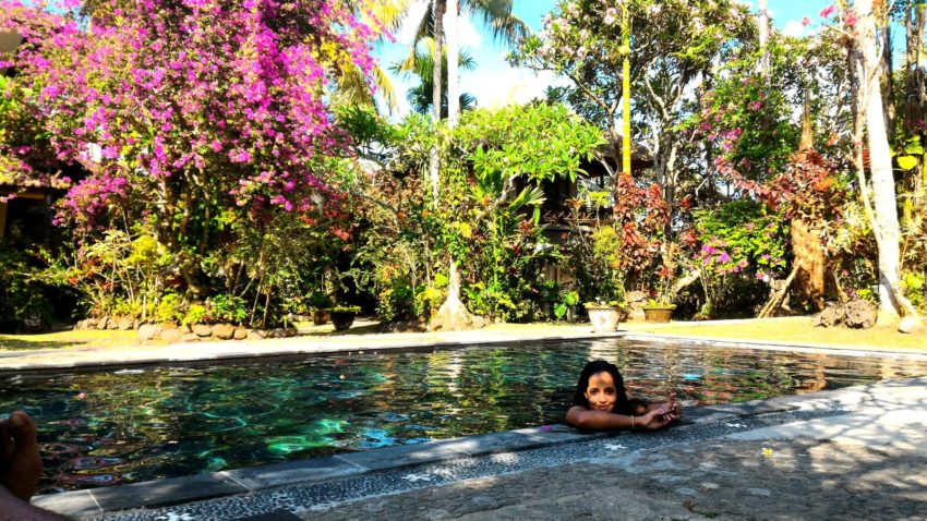 Piscine et rizières à Ubud : Ubud Inn & Tegallalang