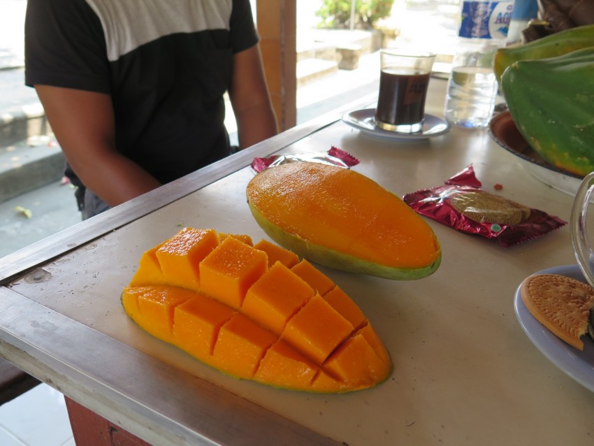 Pause sur la route de Negara (ouest de Bali) avec Agus - Balisolo 2015111