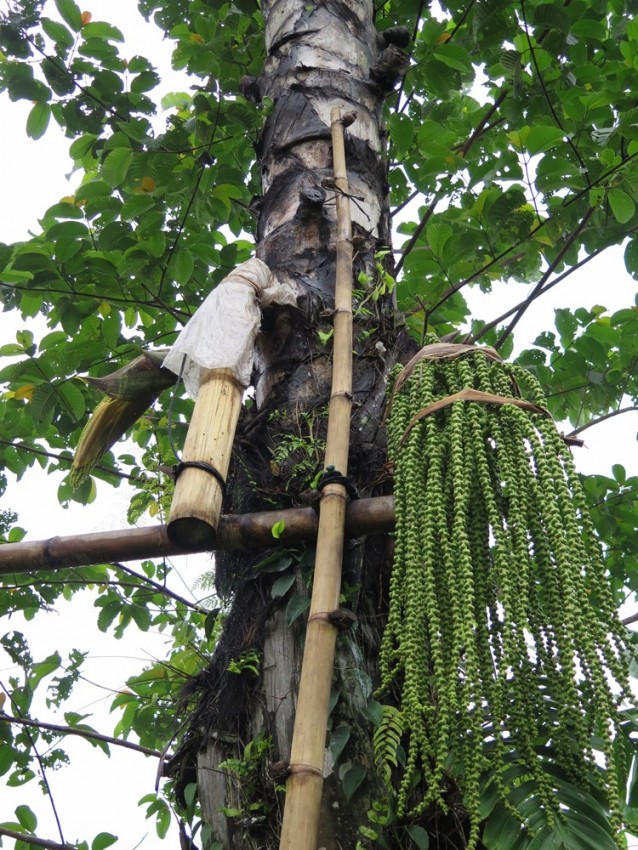 Balade dans les rizères de Langgahan avec Made Ocong - Balisolo (40)