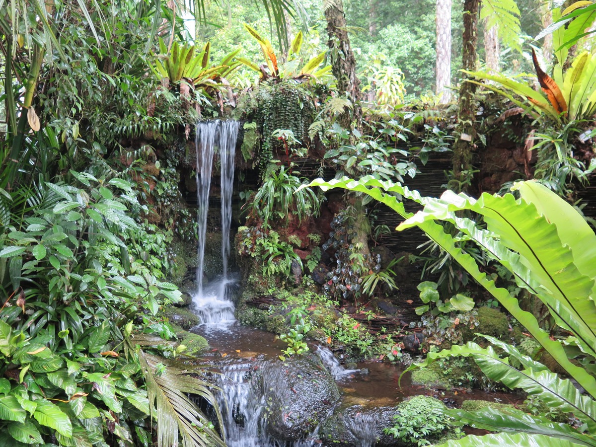 Kebun Raya Eka Karya Bali : le jardin botanique de Bali à Candikuning