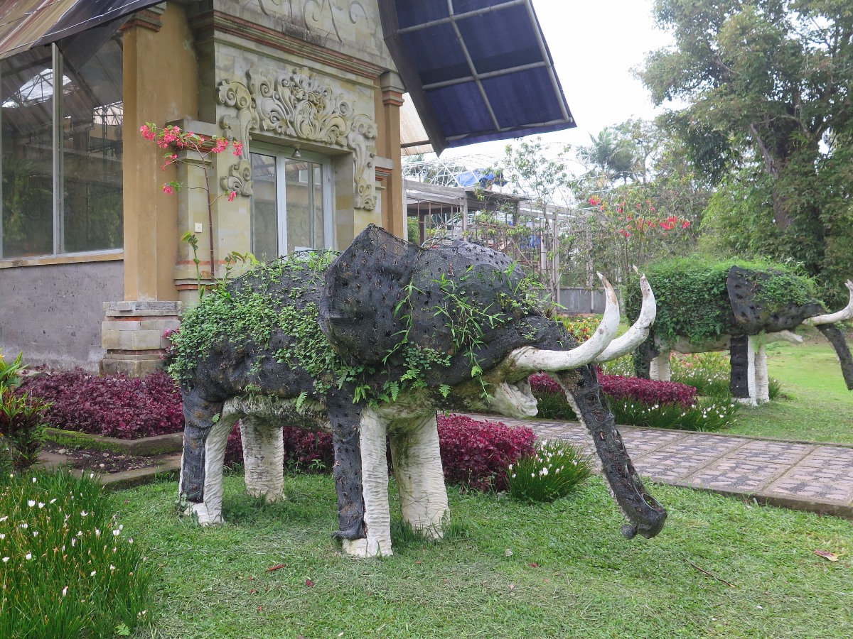 Kebun Raya Eka Karya Bali le jardin botanique de Bali à Candikuning