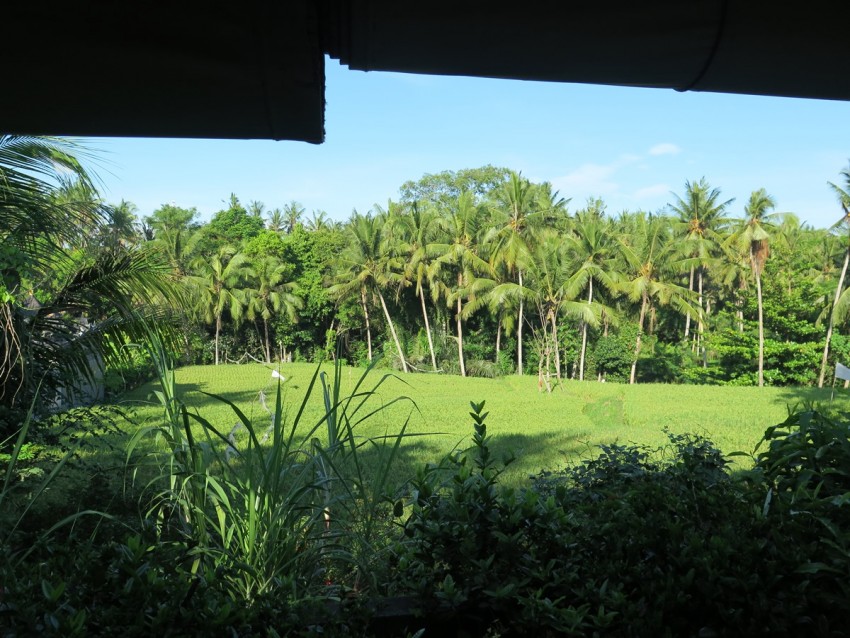 Se loger près d'Ubud : Chez Nyoman à Batuan