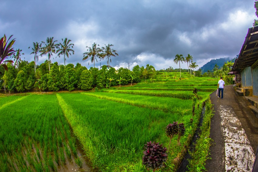 Bali après la pluie par Asyraf Zahardin