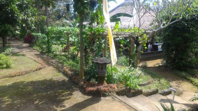 Pemulan Bali - Balinese farm cooking class