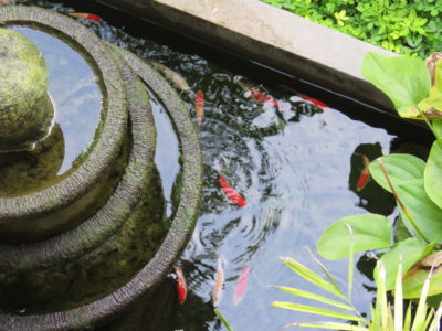 Fontaine dans un bassin de poissons rouges
