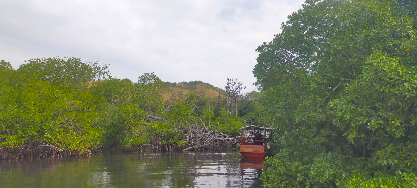 Explorer Flores en famille - 12 jours d'aventure sur l-île et une croisière à Komodo avec Agus Yudiarta guide francophone en Indonésie-14 flores indonesie