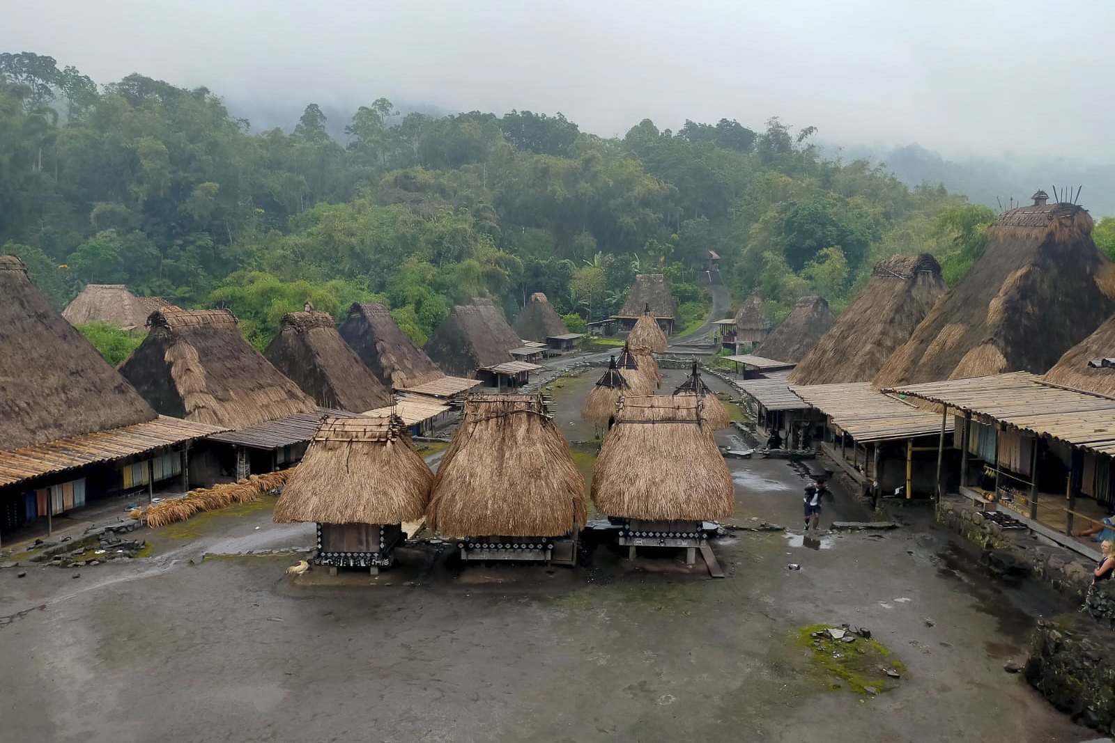 Explorer Flores en famille - 12 jours d'aventure sur l-île et une croisière à Komodo avec Agus Yudiarta guide francophone en Indonésie-51 flores indonesie