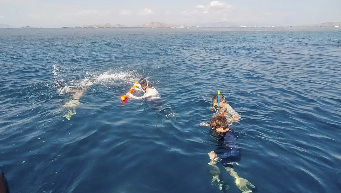 Jours 10 à 12 - Croisière dans l'archipel de Komodo (3 jours - 2 nuits)-15