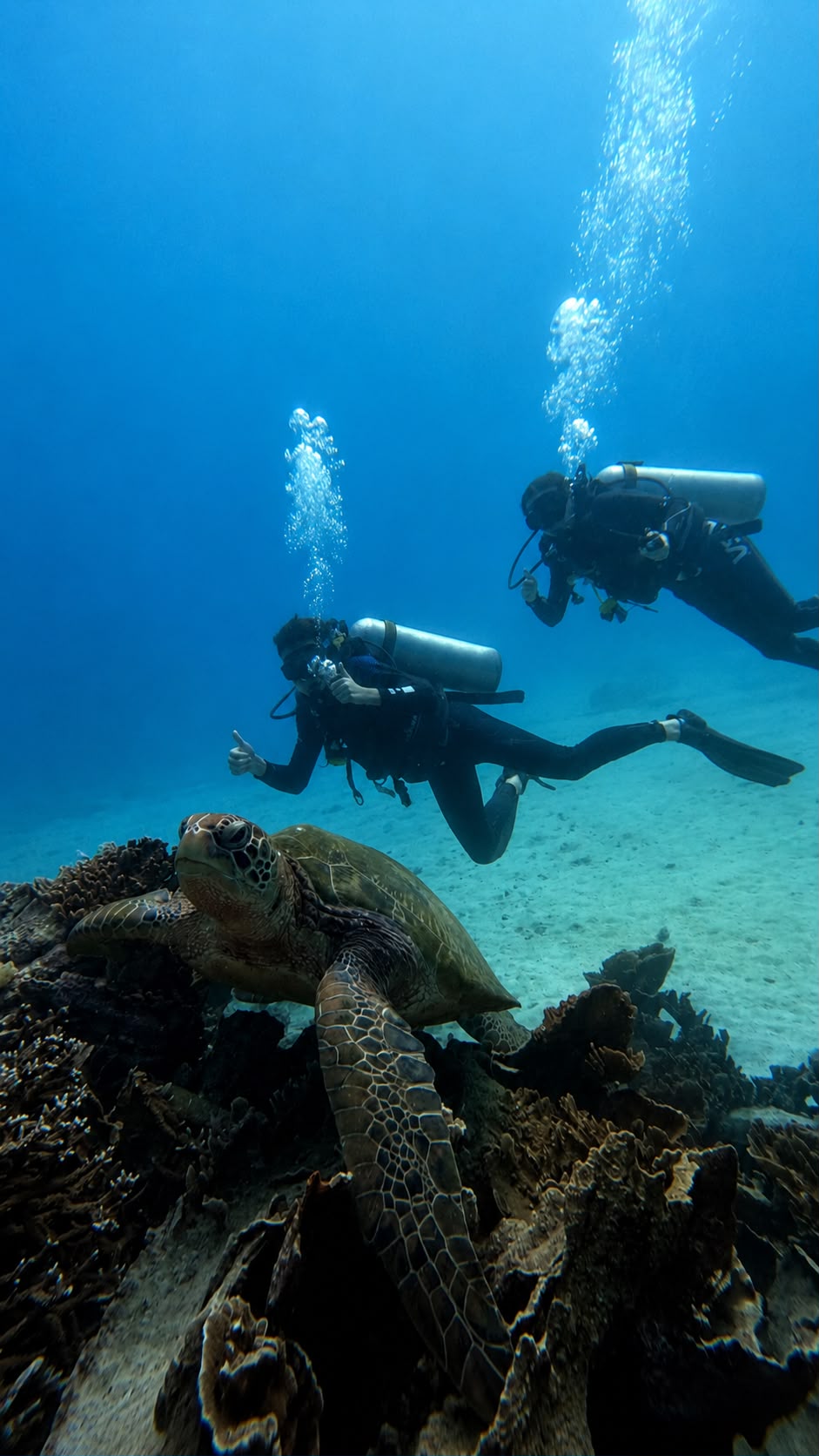 Explorer Flores en famille avec un guide francophone Agus Yudiarta - Balisolo (2) voyage flores famille